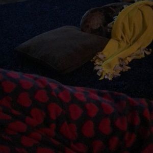 Meet your Posher, Whitney